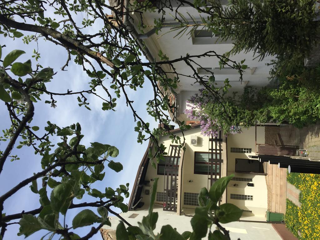 Casa Transilvania Μπρασόβ Εξωτερικό φωτογραφία